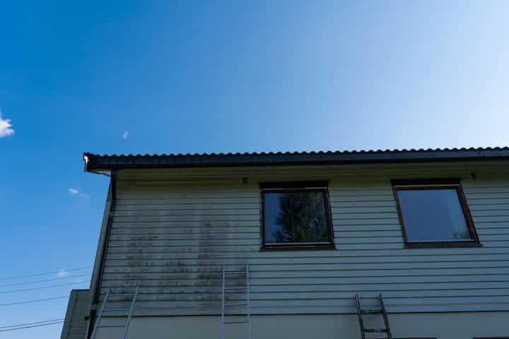 exterior mold removal services Rome